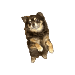 shu_20250426102400