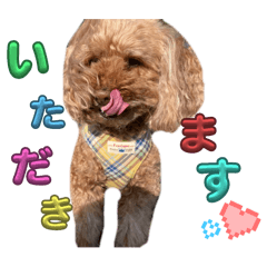 Pyon_20250426125800