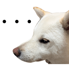 L_20250426130712