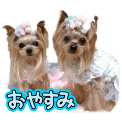 YUMI_20250426130659