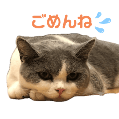 aki_20250426132745