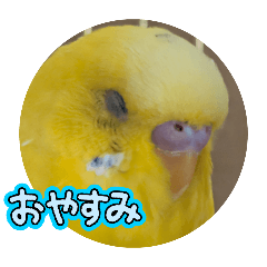 sakura_20250426134437