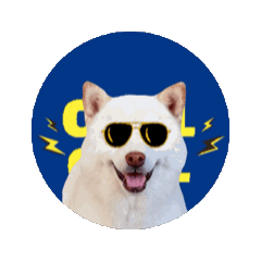 BB SHIBA XO