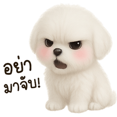 น้องมะหมาน่ารัก <3