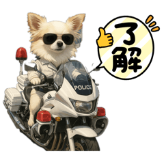 TonTon_20250425171605