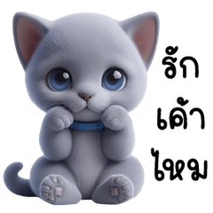 Cute big-eyed blue kitten