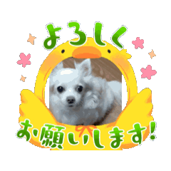 Angel_20250426200609