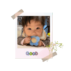 shiho_20250426210225