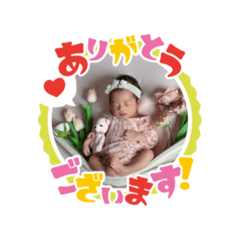 Yoko_20250426163909