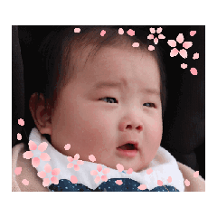 haruka_20250426220948