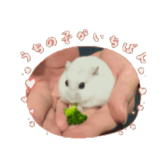 mayupon_20250426215430