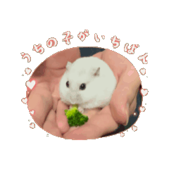 りんりんのハムスタースタンプ