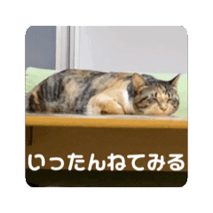 momo_20250427073642