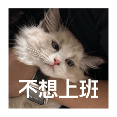 Niko厭世上班語錄