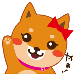 Shiba dog "MUSASHI" 18 Hana
