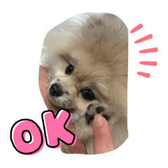 rika_20250426185904