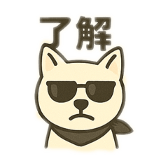 shibainu3126