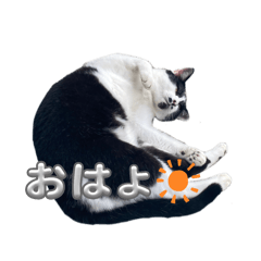 HINA_20250426195036