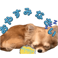 yuyu_20250426203854