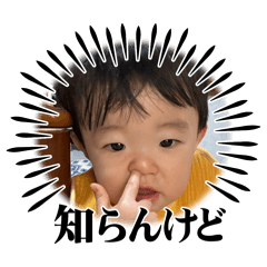 MAMI_20250426203715