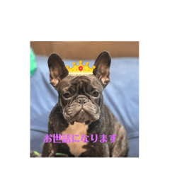 mm_20250426205124