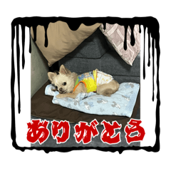 kaotan_20250426180107