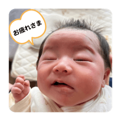 kuma3_20250426195825