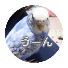 mei_20250426215105