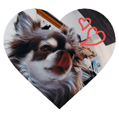 ottoto_20250426230113