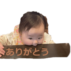 syo_20250426145747
