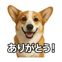tokuri_20250427002014