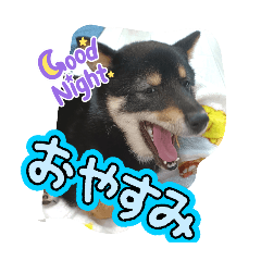nao_20250426210035