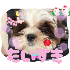 mari_20250426205727