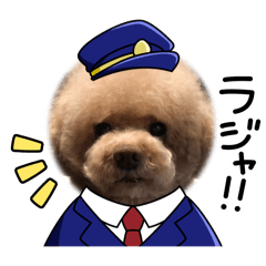 mao_20250426205324