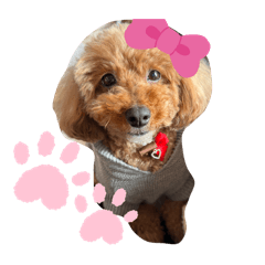 mi-chan!kawaii