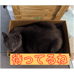 chisakichi_20250426213440