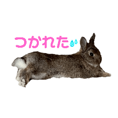 Takashi_20250427011752