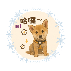 麻糬麻糬弟弟2