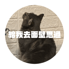 蹦啾阿呆大戰爭