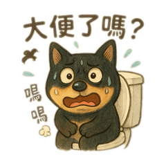 柴犬包子黑妞的日常對話