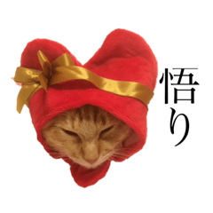 kalon sticker