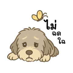 Chaokuay the lovely girl dog