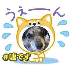 hina_20250426200245