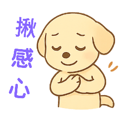 拉不拉多犬生活日常之2