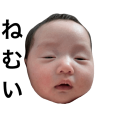Tanaka_20250427011808