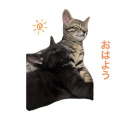 hina_20250427012344