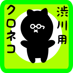black cat sticker for shibukawa