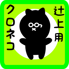 black cat sticker for tsujigami