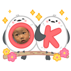 rk_20250427051412
