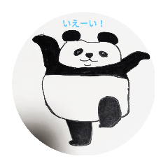 panda_20250425215525